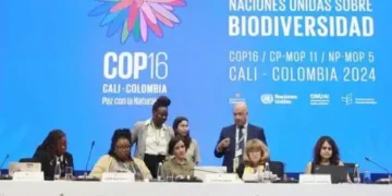 cop16