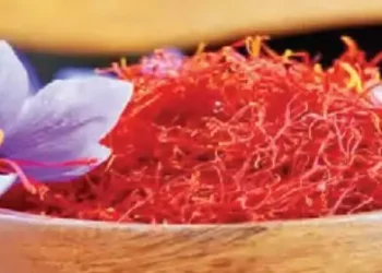 Indore farmer prepared 'red gold' at home