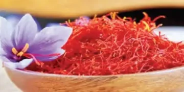 Indore farmer prepared 'red gold' at home