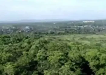 Coal PSUs have created 16 eco-parks on 10,942 hectare green cover in 5 years