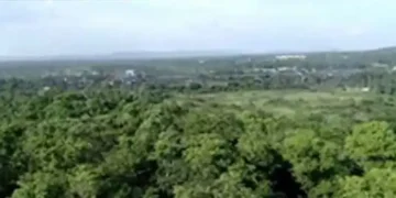 Coal PSUs have created 16 eco-parks on 10,942 hectare green cover in 5 years