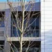 Murdoch to sell Foxtel to DAZN