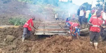 Landslides kill dozens, bury homes