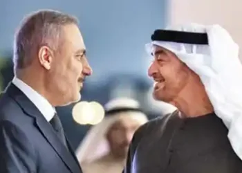 UAE President, Turkish FM discuss regional stability