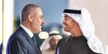 UAE President, Turkish FM discuss regional stability