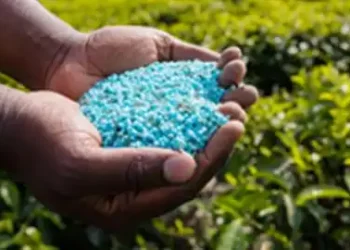 fertilizer