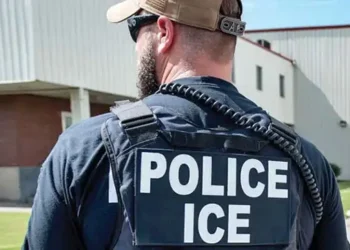 Trump’s ICE pick is agency veteran