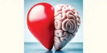 Claim: There is a small brain hidden inside the heart