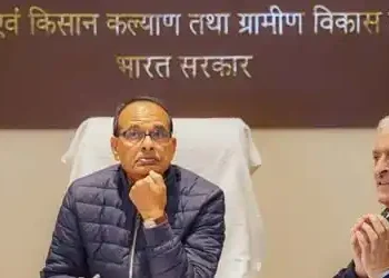 Agriculture, allied sectors likely to see 3.5-4 pc growth in 2025