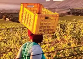 Controversial land seizure law gets nod in South Africa