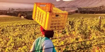 Controversial land seizure law gets nod in South Africa