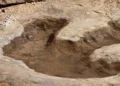 Dinosaur footprints found