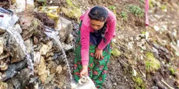 Groundwater revival sees major increase