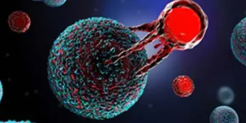 Immuneel launches affordable CAR T-cell therapy for non-Hodgkin’s Lymphoma in India