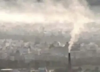 Study decodes how microbes help detoxify our atmosphere