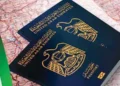 UAE passport