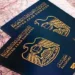 UAE passport