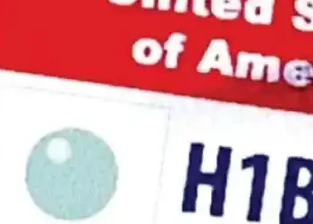 h1b