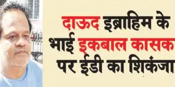ED's clampdown on Dawood Ibrahim's brother Iqbal Kaskar