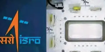 ISRO's sting, cowpea grown in space