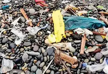Curbing plastic pollution