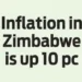 Inflation in Zimbabwe is up 10 pc