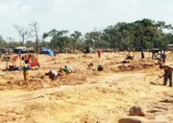 Several gold prospectors die in Mali mine collapse