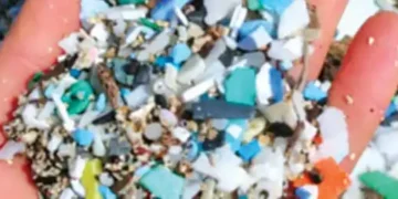 Microplastics