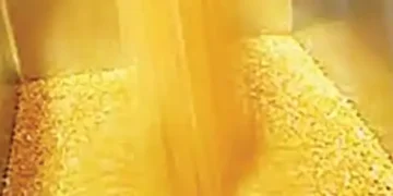 Pulse procurement okayed under price support scheme