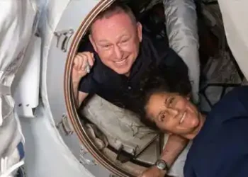 Study shows how space-stranded Sunita Williams can prevent cartilage damage