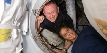 Study shows how space-stranded Sunita Williams can prevent cartilage damage