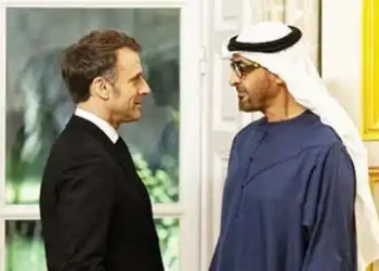 UAE President, Macron discuss bilateral ties