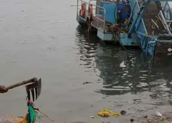 Yamuna clean-up begins