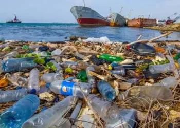 plastic