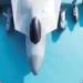 India's stealth fighter will be ready by 2028-29