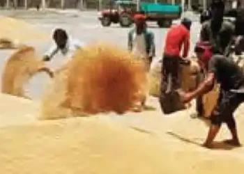 33.57 crore tonne production expected in the current financial year