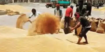 33.57 crore tonne production expected in the current financial year