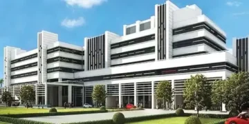 A story of resilience