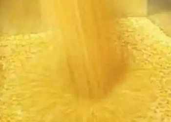 Centre's Tur procurement from farmers at MSP crosses 1.3 lakh tonnes