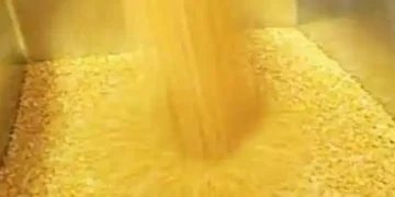 Centre's Tur procurement from farmers at MSP crosses 1.3 lakh tonnes