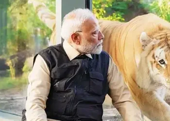 In harmony with nature