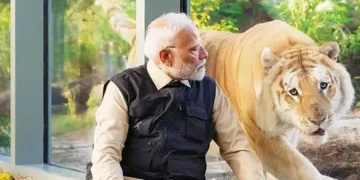 In harmony with nature