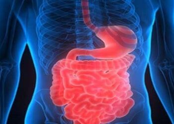 Researchers find mechanisms that may lead to inflammatory bowel disease