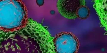 Scientists develop method to expose cancer cells to immune system