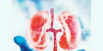 Kidney disease cases increased by 16.38 percent in India