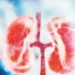 Kidney disease cases increased by 16.38 percent in India