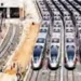 Orbital Rail Corridor project in NCR gains momentum, will be linked to Noida Airport