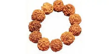 4.32 crore devotees gathered in Kashi, Rudraksha worth 100 crores sold