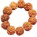 4.32 crore devotees gathered in Kashi, Rudraksha worth 100 crores sold