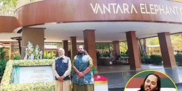 'Vantara' became a shelter for helpless creatures